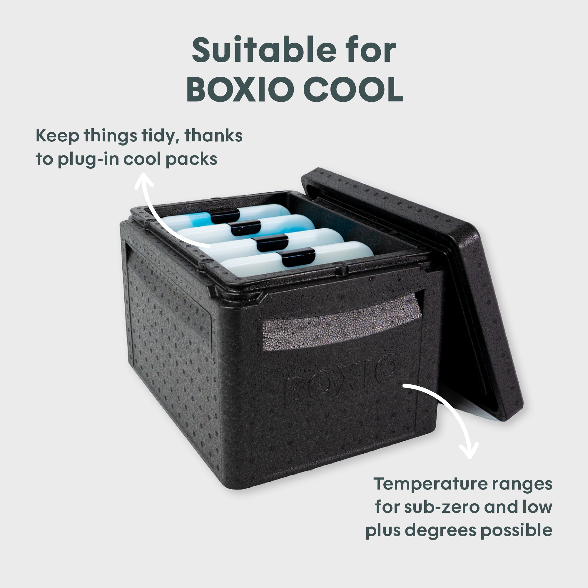 Kühlbox mit fünf Kühlakkus, geeignet für extreme Temperaturen und organisiertem Innenraum.