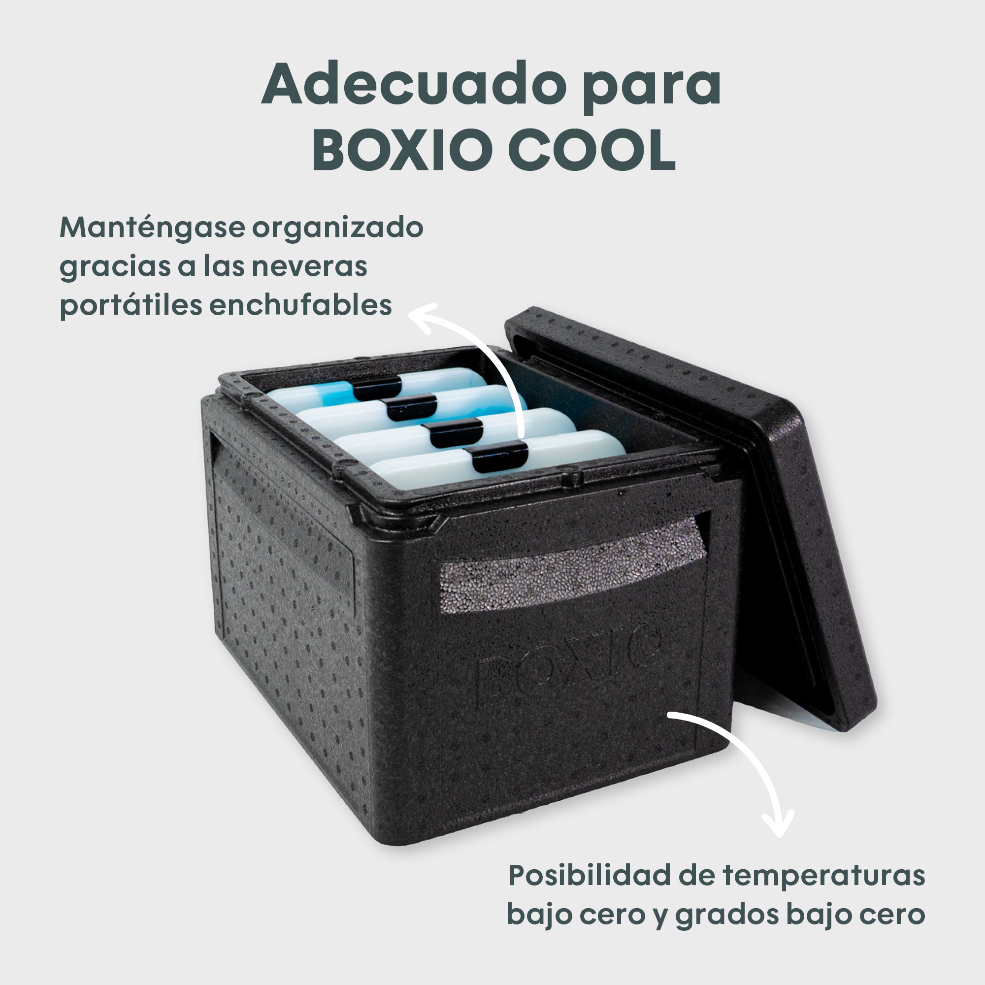 Tragbare Kühlbox mit Fächern für Kühlakkus, geeignet für BOXIO COOL, ideal für niedrige Temperaturen.