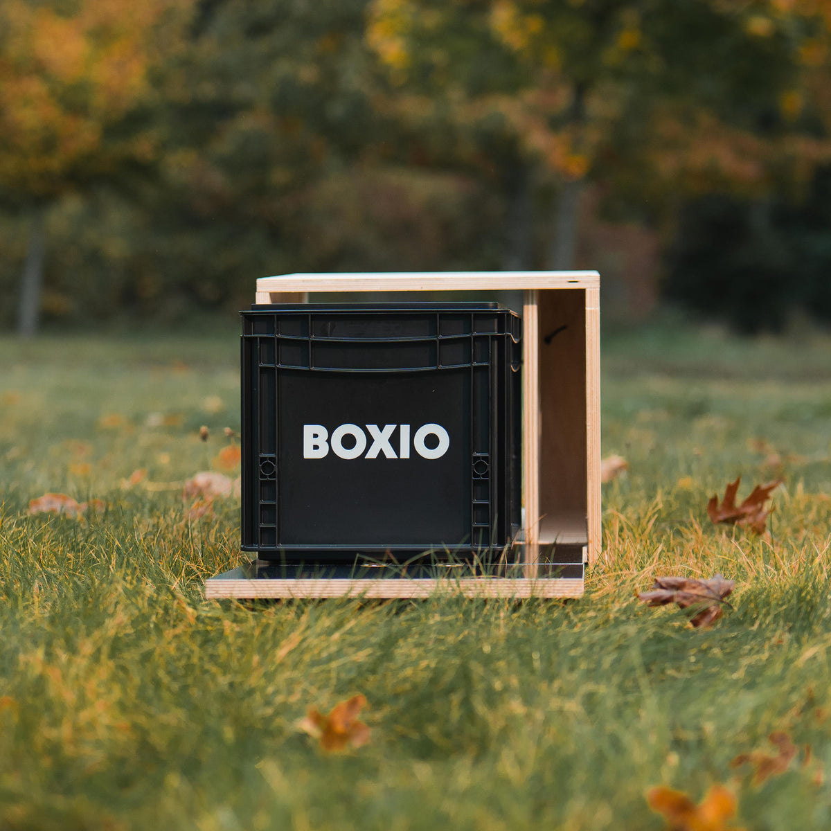 Schwarze Kunststoffkiste mit dem Schriftzug "BOXIO" in einer Holzbox auf einer Wiese im Herbst.