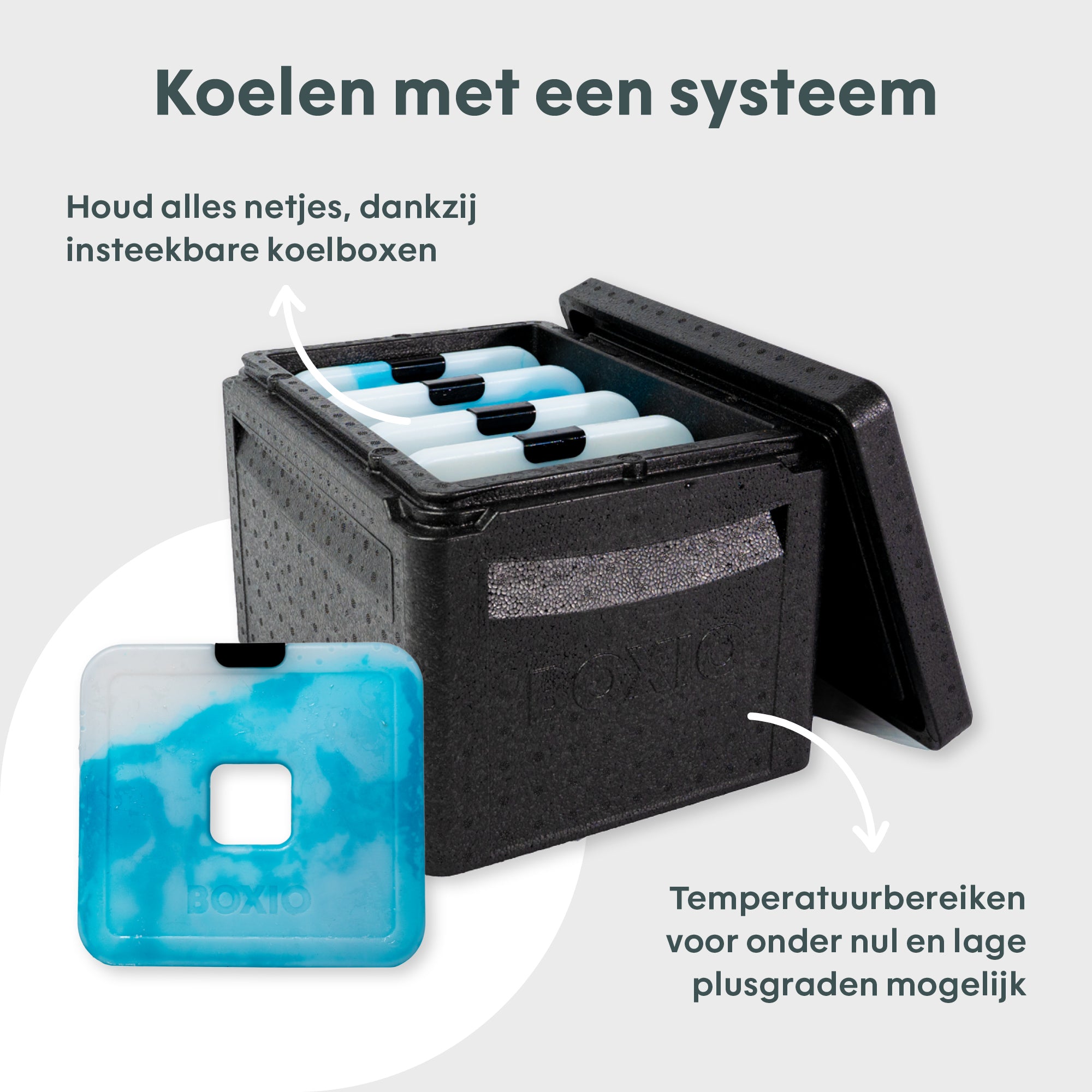 Schwarze Kühlbox mit blauen Kühlakkus und Beschreibung zu Temperaturbereichen. Ideal für sauberen Transport von Lebensmitteln.