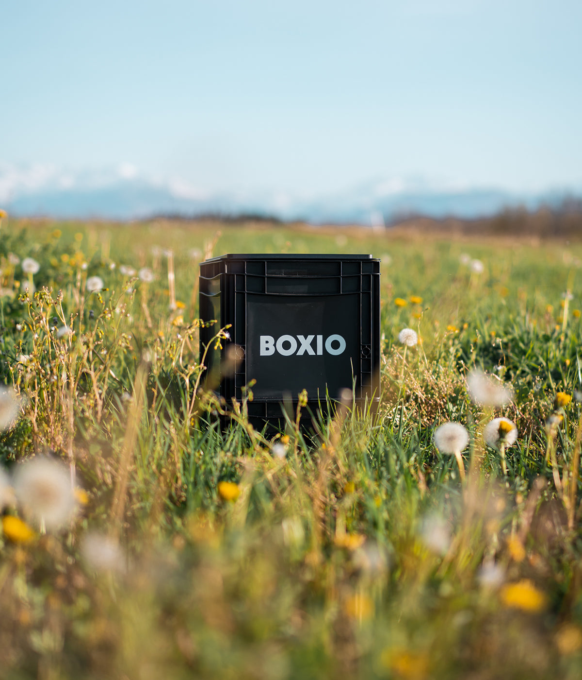 Schwarze Boxio-Transportbox steht in einem blühenden Feld mit Wiesenblumen und Bergen im Hintergrund.