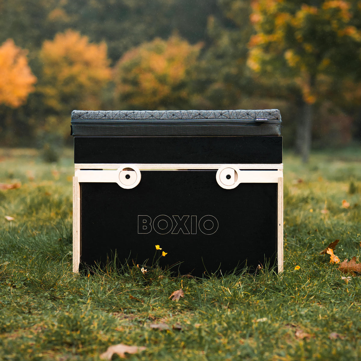 Schwarze Box mit abnehmbaren, grauen Deckel, steht auf einer Wiese im Herbst. Umgeben von buntem Laub.