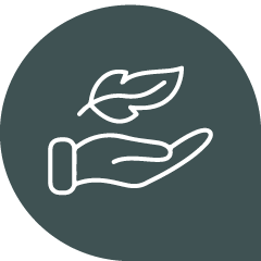 Hand, die ein Blatt hält, symbolisiert Umweltbewusstsein und nachhaltige Praktiken.