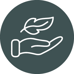 Hand hält ein Blatt, symbolisiert Nachhaltigkeit und Umweltschutz.